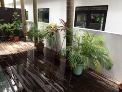 Hua Guan Avenue (D21), Terrace #464694281